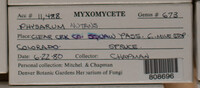 Image Associated With the Occurence